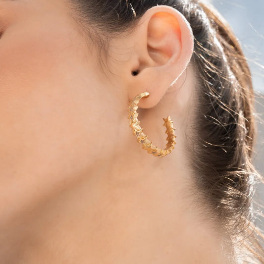 Star Hoop Earrings